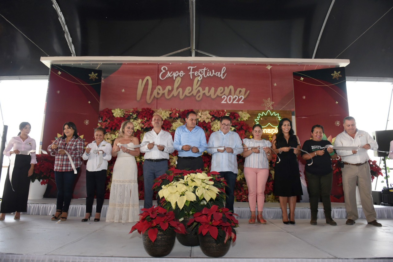 Morelos se mantiene en primer lugar nacional en producción de Nochebuena |  MORELOS