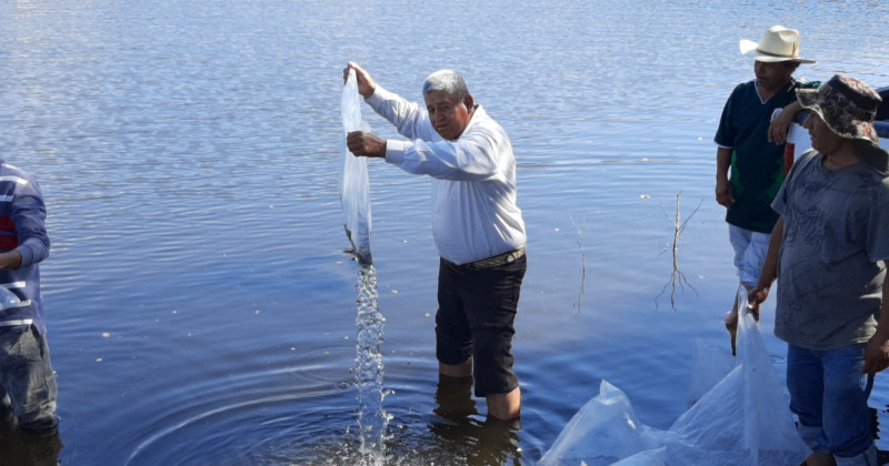 Recibirán apoyo productores pesqueros de Morelos