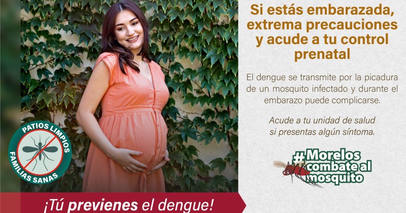 Pide SSM a embarazas intensificar medidas preventivas contra el mosquito del dengue