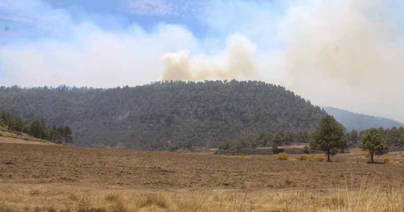Emite SDS cuidados ante presencia de humo por incendios forestales