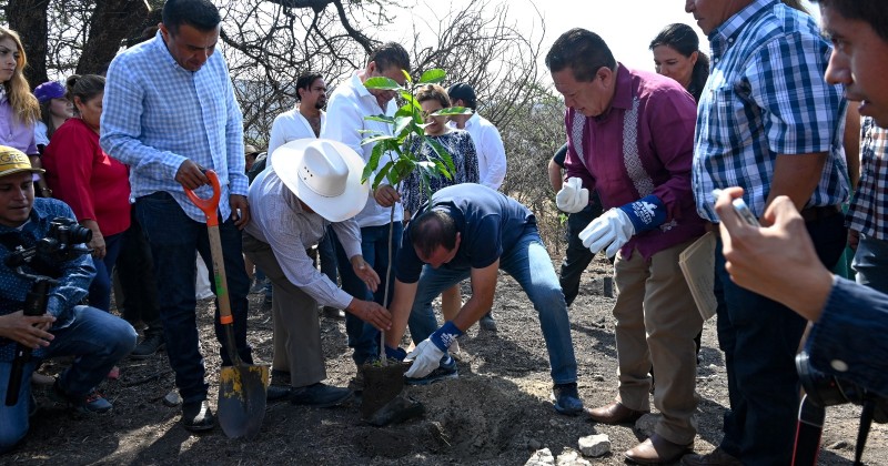 Fomenta Gobierno de Cuauhtémoc Blanco programa de reforestación que abona al cuidado del medio ambiente