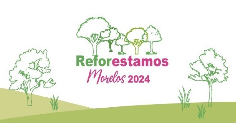 Alista Secretaría de Desarrollo Sustentable campaña de reforestación 2024