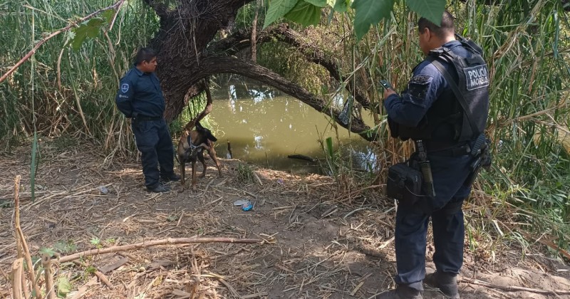 Continúa CES búsqueda de los menores de edad extraviados en Yautepec con la ayuda de binomios caninos y drones