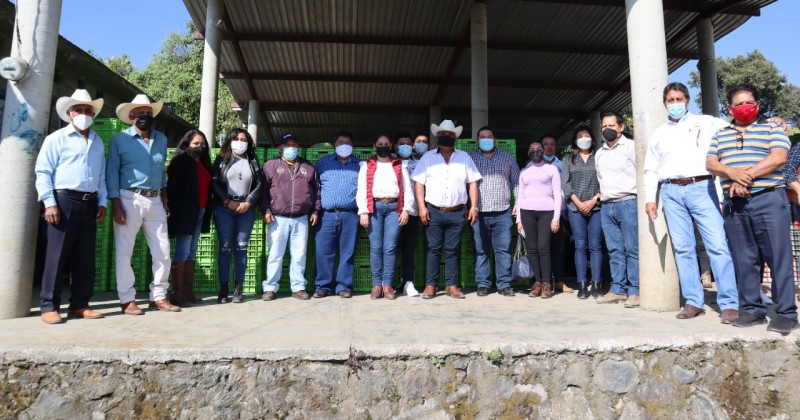 Realiza gira de trabajo titular de Sedagro en centros de acopio de nopal y aguacate de Tlalnepantla