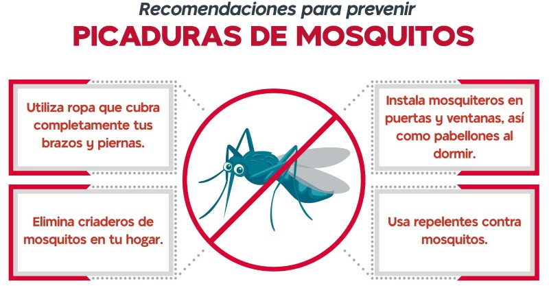 Pide Ssm Intensificar Medidas Preventivas Contra Dengue Zika Y