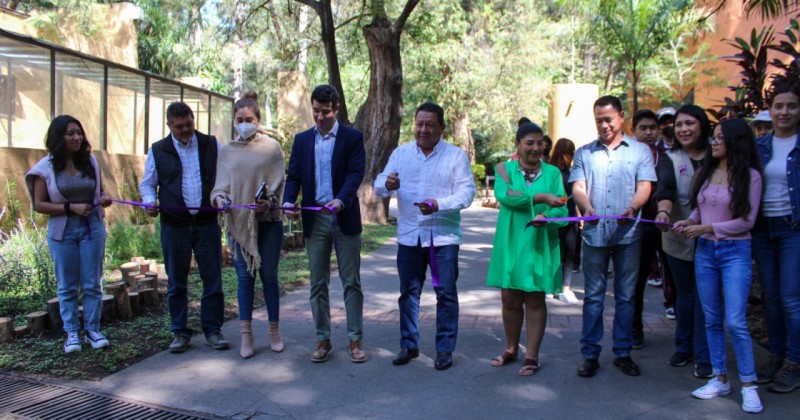 Inauguran jardín para polinizadores en Parque Chapultepec