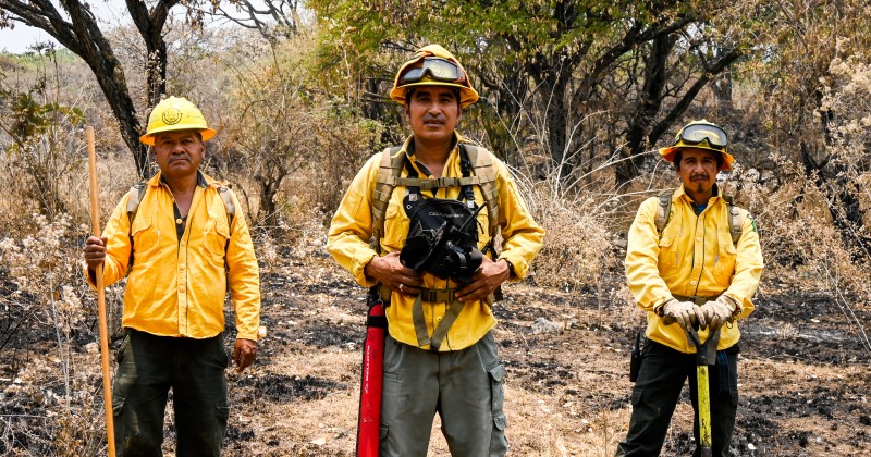 Combatientes forestales están comprometidos con el cuidado de los bosques y selvas de Morelos