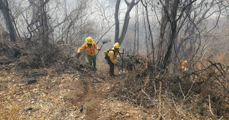 Llama SDS a prevenir incendios forestales ante las altas temperaturas