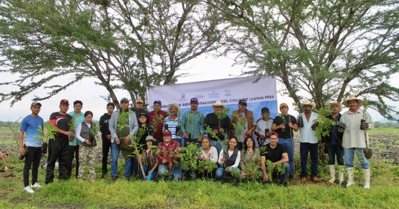Encabeza SDS jornada de plantación de cercos vivos en Ayala