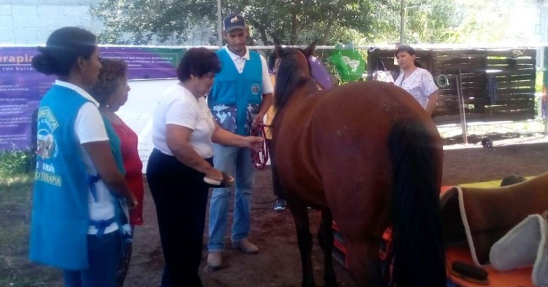 Ayuda DIF Morelos a adultos mayores con sesiones de equinoterapia  