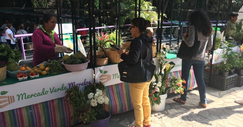 Un éxito el Mercado Verde en Chapultepec 