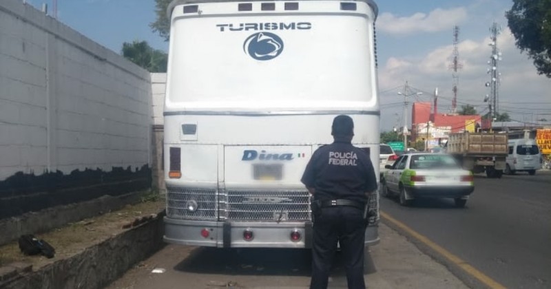 Policía Federal en Morelos aseguró a sujeto que conducía un autobús con alteraciones en el número de identificación vehícular