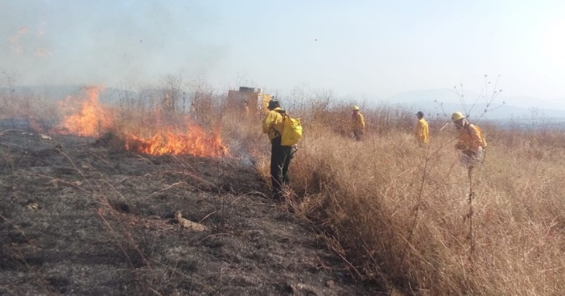 Continúan trabajos preventivos de incendios forestales