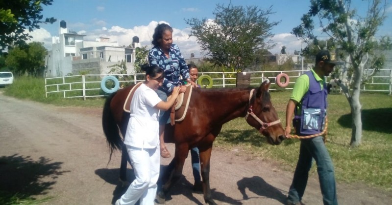 Ayuda DIF Morelos a adultos mayores con sesiones de equinoterapia