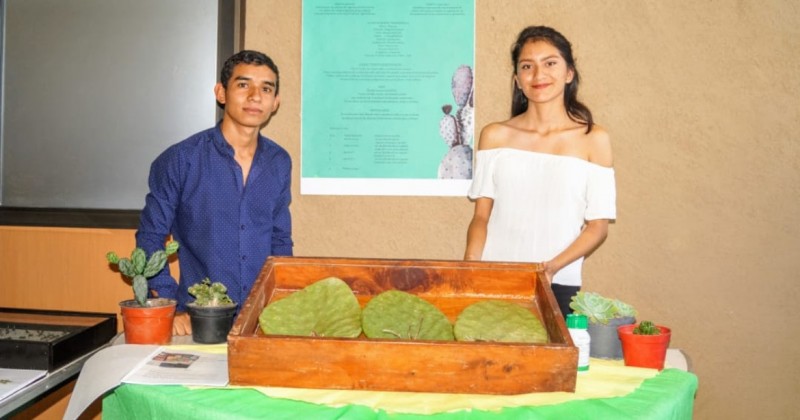 Impulsan alumnos de UTSEM siembra y mejoramiento de producción de nopal