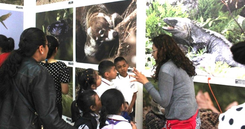 Presentan exposición fotográfica “Xochicalco animales y plantas” en Parque Chapultepec 