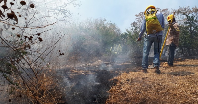 Extingue Mando Unificado cuatro incendios forestales este fin de semana