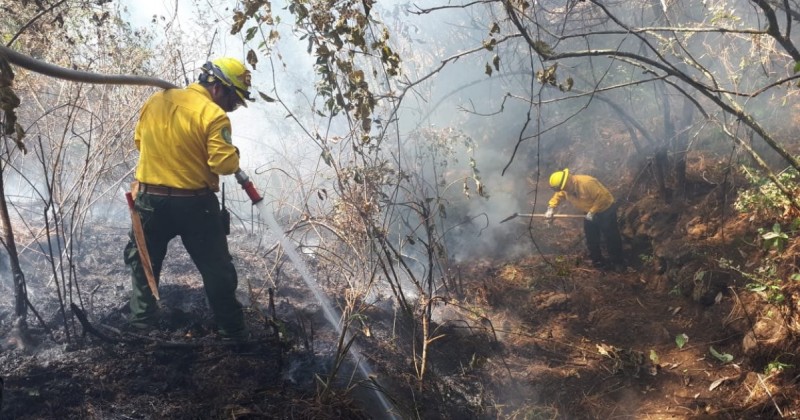 Concluyen capacitaciones a brigadas de Protección Civil en materia de incendios forestales