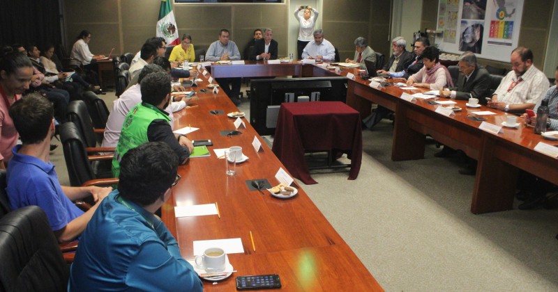 Mantienen medidas preventivas y vigilancia permanente al Popocatépetl