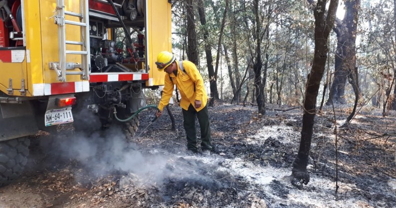 Liquidan al 100 por ciento incendio forestal registrado al norte de Cuernavaca