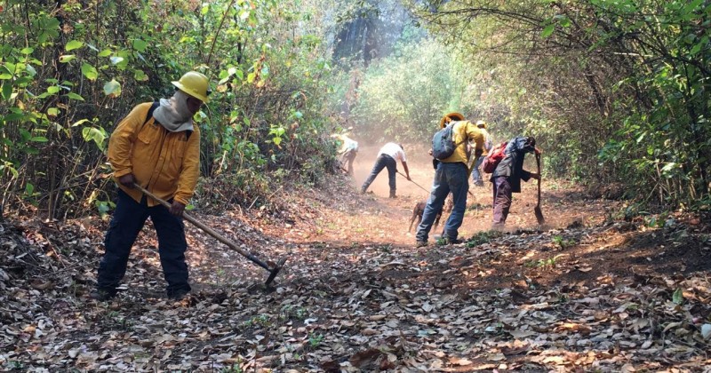 Atienden brigadistas incendio forestal al norte de Cuernavaca