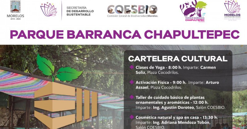 Habrá Mercado Verde este domingo en Parque Chapultepec