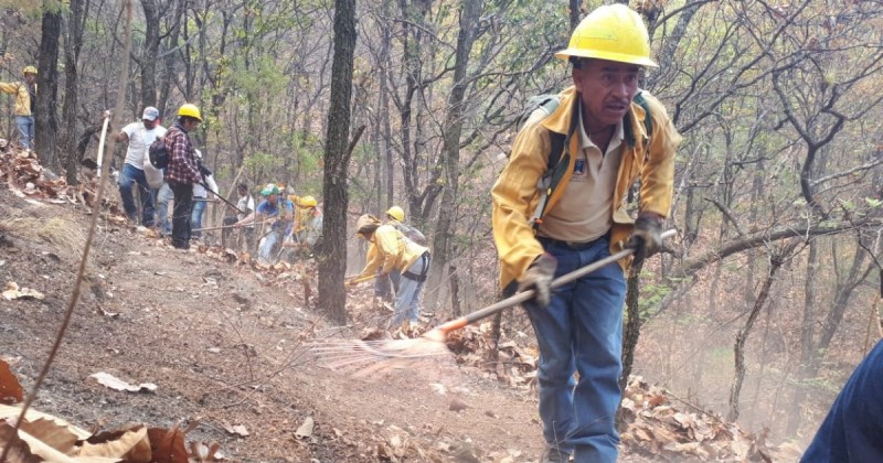 Apoyan brigadistas al combate de incendios forestales en zonas limítrofes con Morelos