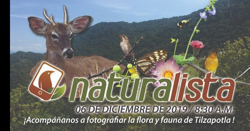 Invita SDS a participar en Recorrido Naturalista