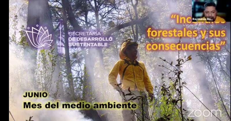 Exponen beneficios y afectaciones del fuego en incendios forestales