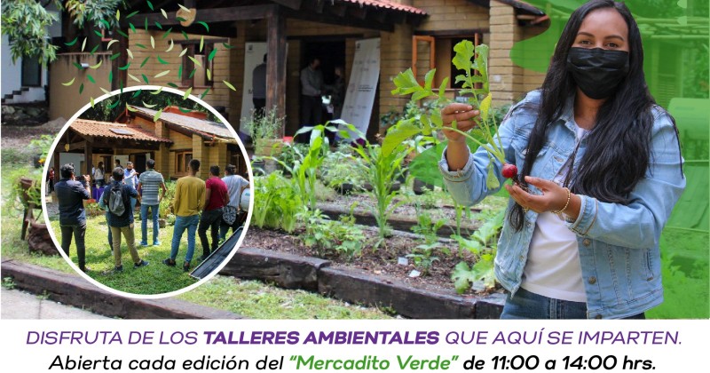 Se suma casita ecológica del Parque Chapultepec al Mercadito Verde Morelos