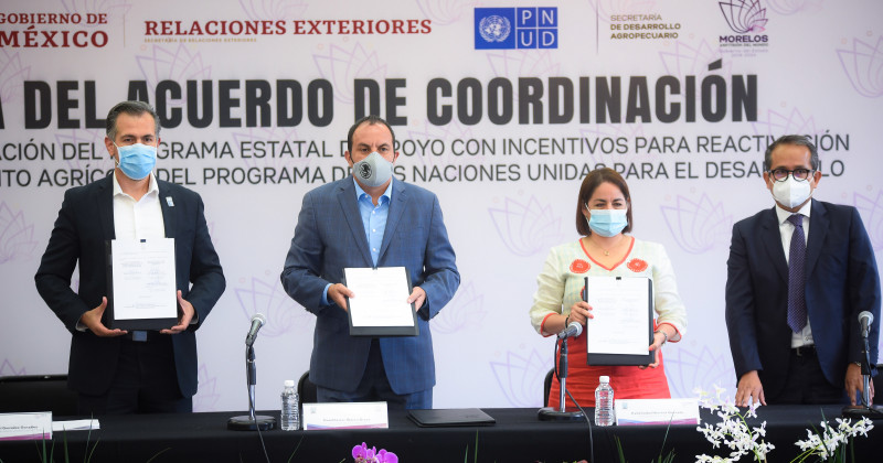 Acuerdan Gobierno de Morelos y PNUD cooperación para el desarrollo agrícola de Morelos