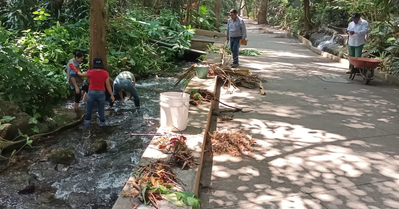 Concluye limpieza y retiro de residuos en Parque Barranca Chapultepec de Cuernavaca