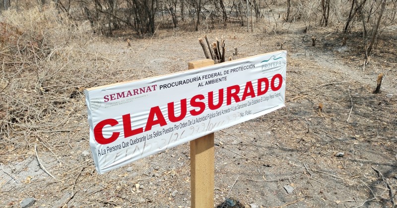 Clausuran tala clandestina y cambio de uso de suelo en Sierra Monte Negro