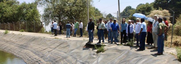 Mantienen trabajos para conservación de masa forestal y cuidado del agua en Morelos