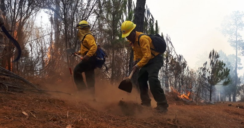 Comunicado de Prensa Incendio Forestal Paraje “Loma Tenango”