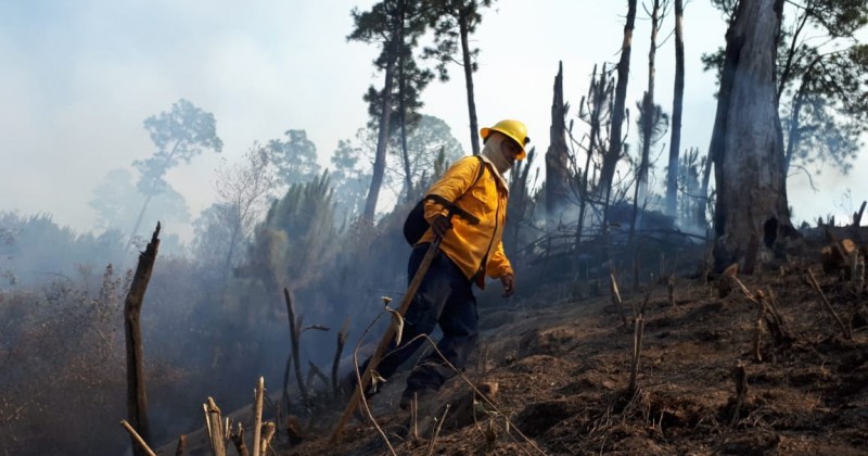 Comunicado de Prensa incendio forestal paraje “Loma Tenango”