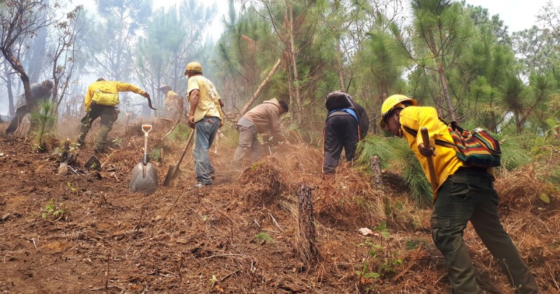 Comunicado de Prensa liquidado al 100 por ciento incendio forestal paraje “Loma Tenango”