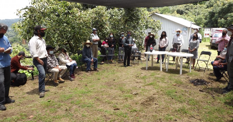 Presentan avances del Programa Estatal de Apoyo con incentivos para reactivación económica y fomento agrícola