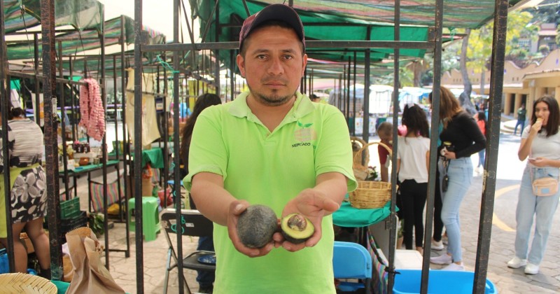 Realizan compras sustentables en el Mercadito Verde Morelos de Cuautla y Cuernavaca