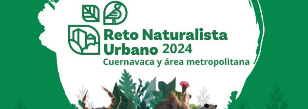 Invita Coesbio a participar en el Reto Naturalista Urbano 2024