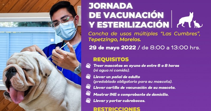 Prepara SDS jornada de vacunación y esterilización para perros y gatos en Emiliano Zapata