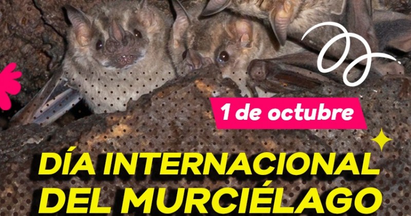 Festejará Desarrollo Sustentable el Mes de los Murciélagos en Morelos