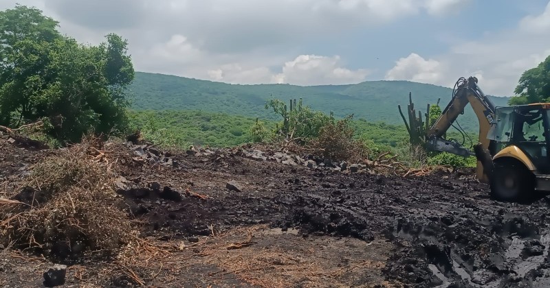 Disuade SDS delitos ambientales en Área Natural Protegida “Sierra Monte Negro”