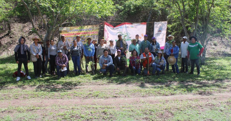 Reforesta Desarrollo Sustentable Cerro del Chumil en Moyotepec