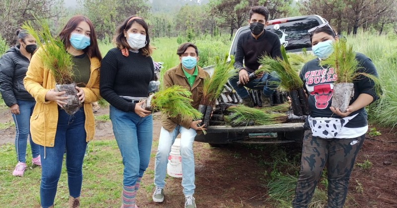 Reforestan con mil 500 pinos en Tlalnepantla