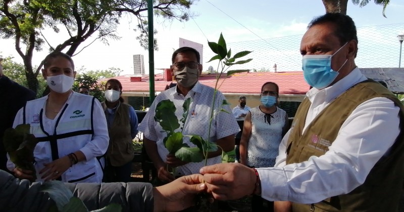 Fortalecen la educación ambiental en el Conalep de Tepoztlán con instalación de huerto