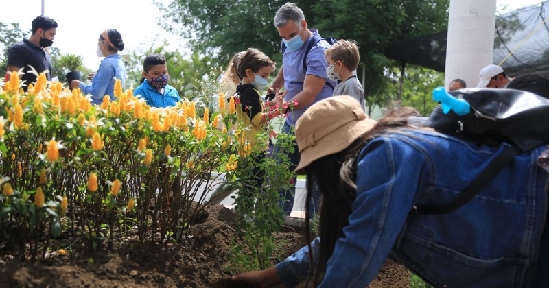 Crea CCyTEM jardines polinizadores en Parque San Miguel Acapantzingo