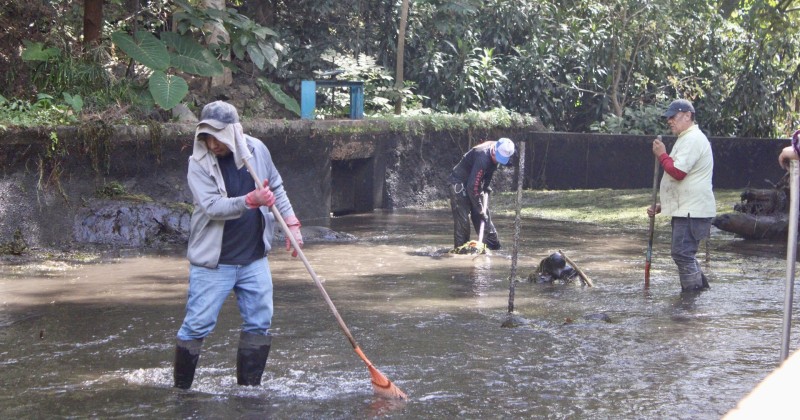 Continúan trabajos de limpieza y mantenimiento en el Parque Barranca Chapultepec de Cuernavaca