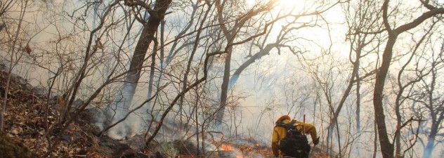 Pide mando unificado mantener acciones de prevención contra incendios forestales en Morelos