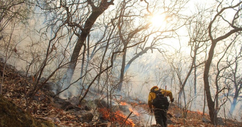 Pide mando unificado mantener acciones de prevención contra incendios forestales en Morelos